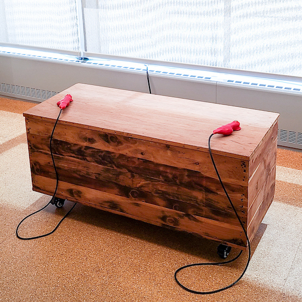 The Heart Sounds Bench, a cedar chest with two red stethoscope handles.