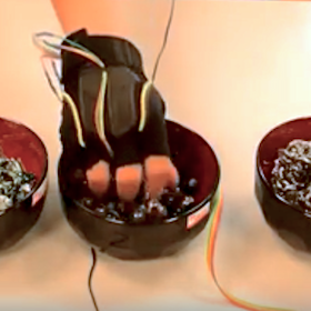 A hand wearing a black fingerless glove with wires coming out of it reaches into a bowl of small objects that might be marbles. Beside this bowl are two other bowls also containing small objects.
