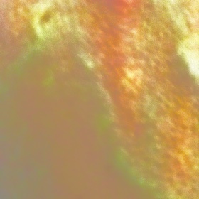 An abstract texture in sickly shades of dull brown, yellow, bluish green, and orange. To the lower left, the text is more smooth. To the upper right, the texture is rougher.